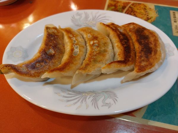 「焼き餃子」@中華料理  芳香園 新横浜店の写真