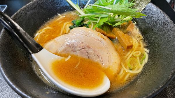 「豚骨醤油ラーメン」@神極麺の写真