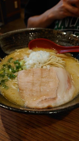 「鶏そば」@麺堂 稲葉の写真