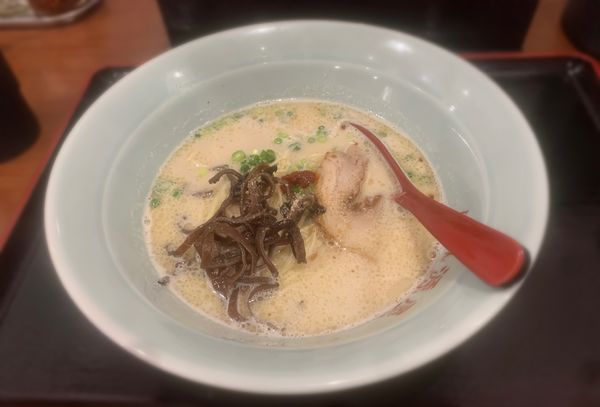 「九州とんこつらーめん（固め￥650）」@らーめん源屋 中野坂上店の写真