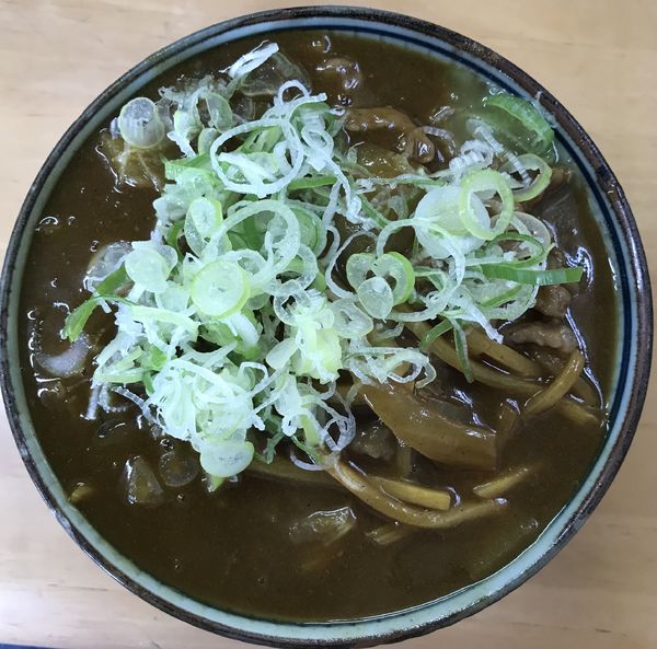「限定 真夏の1杯 和牛カレー南蛮③¥3000」@MENYA 食い味の道有楽の写真
