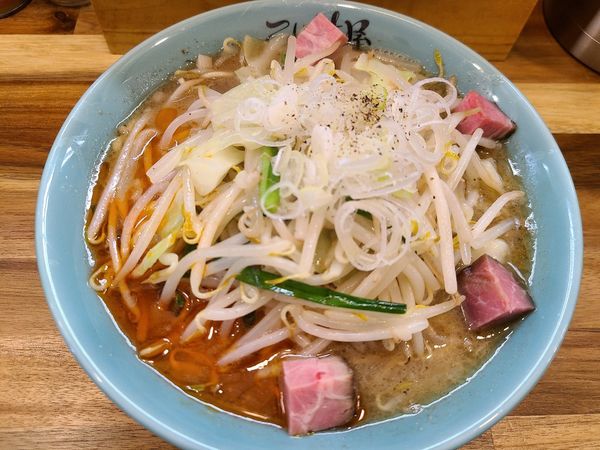「タンメン 大盛」@仙臺自家製麺こいけ屋分店 綠栽の写真