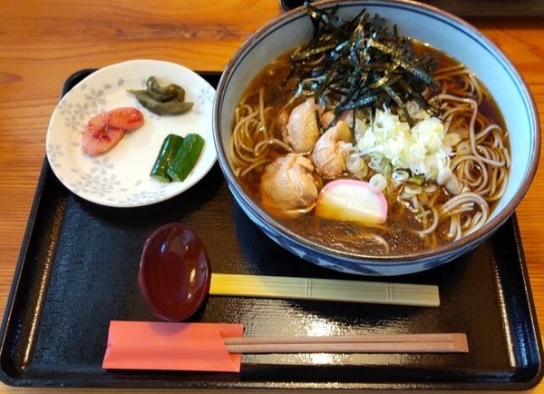 「冷たい鳥そば900円」@蕎麦屋きだろの写真