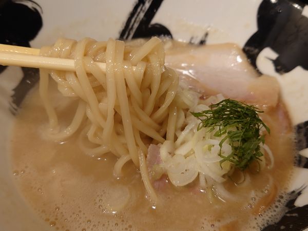 「ゲリラ限定　裏・鶏豚骨¥900」@南森町きんせいの写真