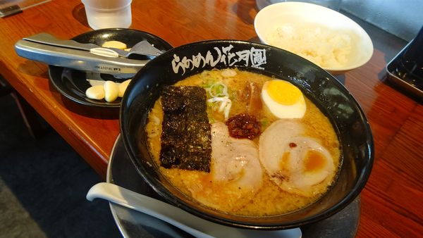 「嵐げんこつらあめん&クーポンライス」@らあめん花月嵐 野田七光台店の写真