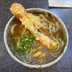 カレーうどん+ちくわ天