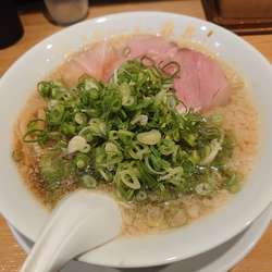 熟成醤油ラーメン