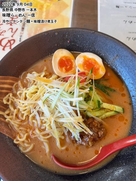 「冷やしタンタン麺＋味噌漬け煮玉子」@味噌らーめん 一信の写真