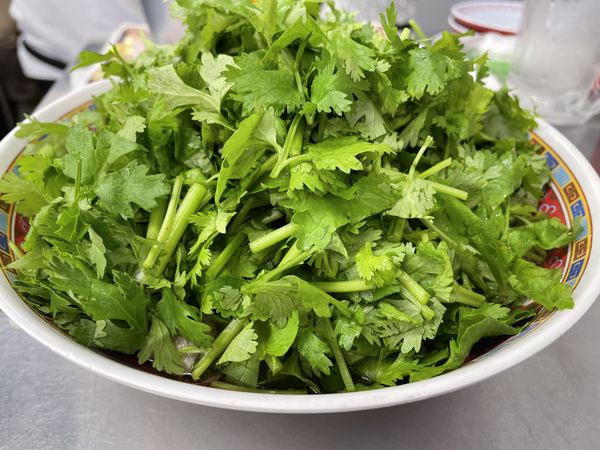 「タイラーメン780円+バケツパクチー580円」@タイ屋台999 新宿店の写真