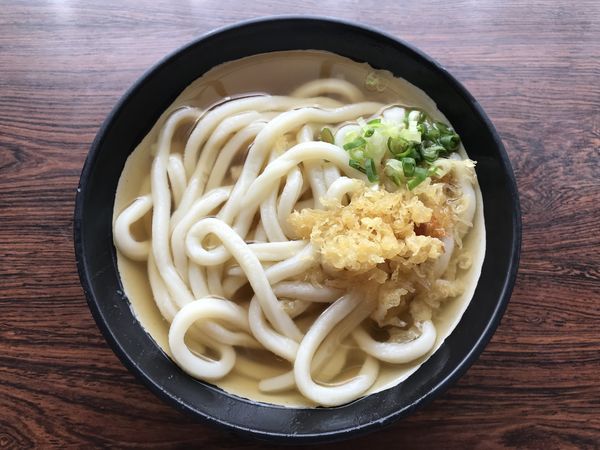 「かけうどん 小　240円」@桝うどんの写真