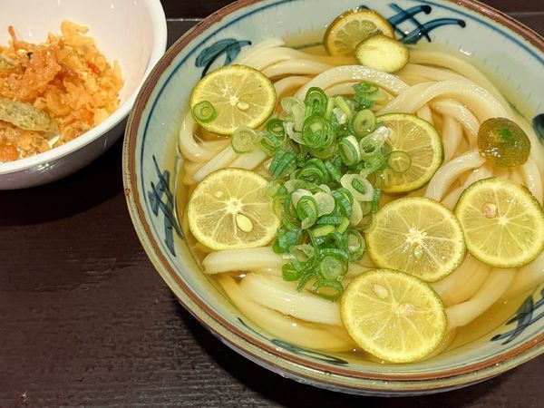 「冷やしすだち並620円」@宮武讃岐製麺所 TOKYO-BAY店の写真
