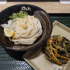 はなまるうどん マルイファミリー志木店の画像