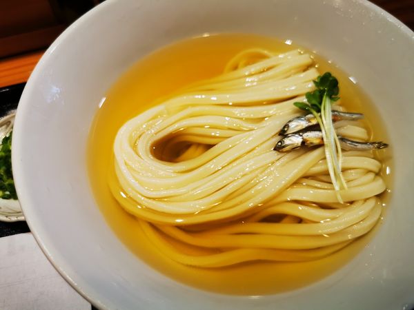 「冷やしかけうどん」@手打ちうどん 円清の写真