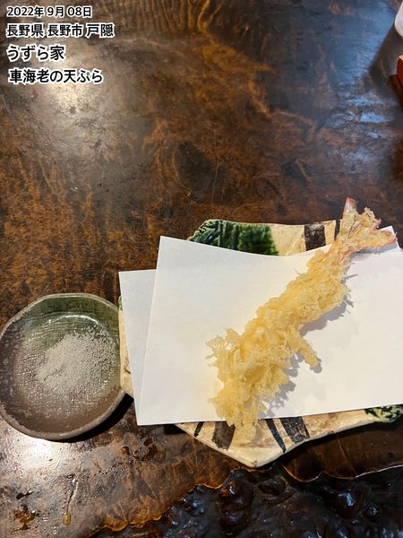 「車海老の天ぷら」@うずら家の写真