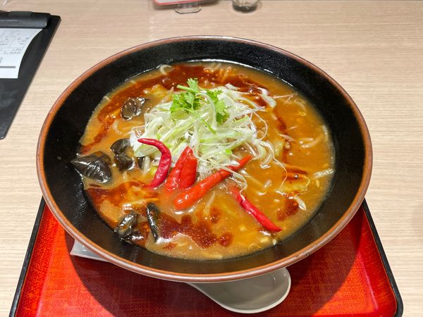 「四川風牛肉辛味煮込み麺」@中国酒家 朝陽閣の写真