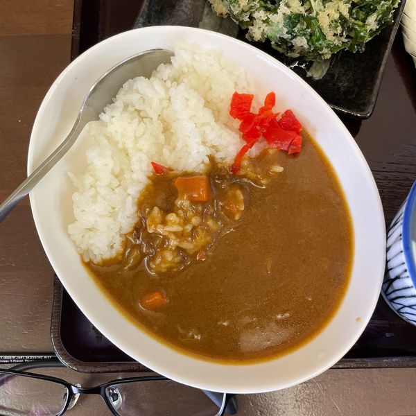 「ミニカレー」@そば切り うちばの写真