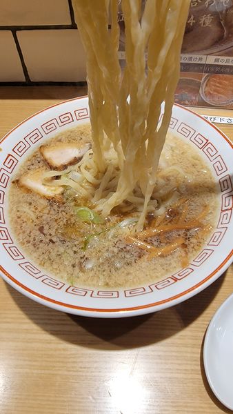 「中華そば」@きたかた食堂の写真