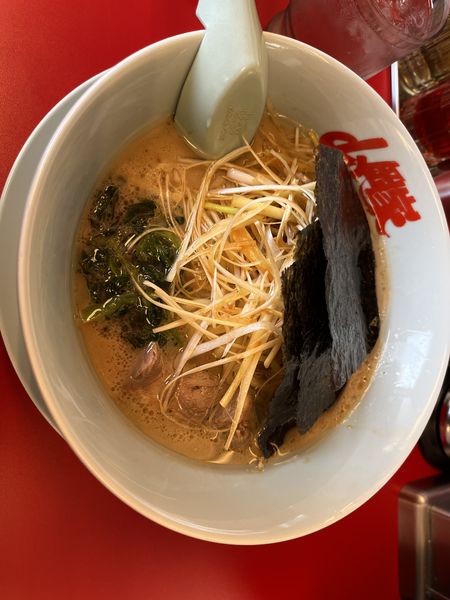 「醤油ネギラーメン810円」@ラーメン山岡家 福井大和田店の写真