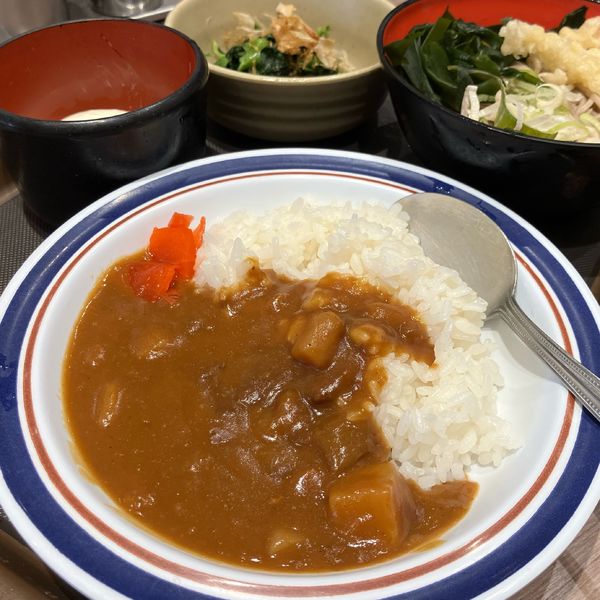 「朝カレーセット（ミニそば冷）420円」@名代 富士そば 船橋店の写真
