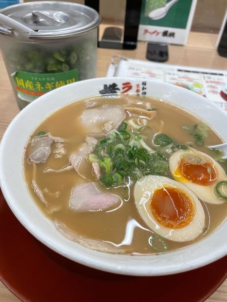 「味玉ラーメン」@ラーメン 横綱 南インター店の写真