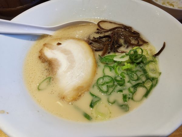 「白丸元味」@博多一風堂 大宮店の写真