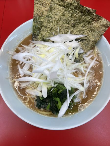 「朝ラー大600円+白ネギ150円」@ラーメン堀田家の写真