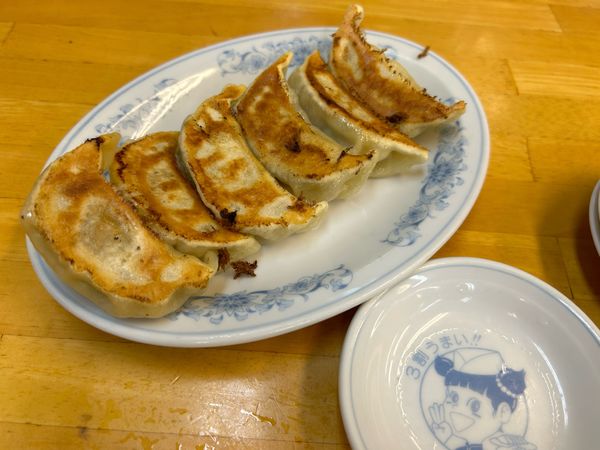 「焼餃子260円＋生搾りレモンサワー」@ぎょうざの満洲 北浦和西口店の写真