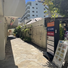 えぞ菊コモンズの画像