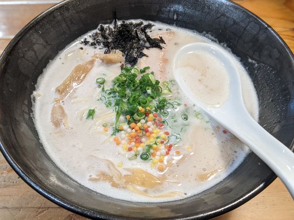「白豚骨　750円」@自家製多加水極太麺 ISAMIの写真