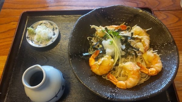 「えびおろし」@尾張屋 飯田橋店の写真