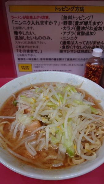 「小ラーメン　麺少なめ」@ラーメン二郎 環七一之江店の写真