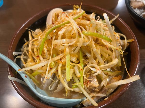 「肉ネギラーメン」@麺場田所商店 春日部店の写真