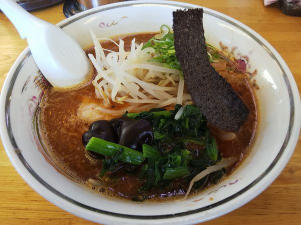 「並木」@ハルピンラーメン 本店の写真