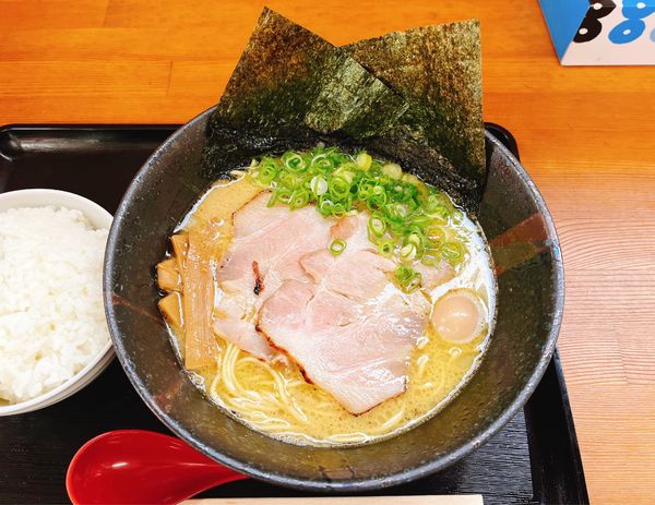 「鶏白湯」@ラーメン日向家の写真
