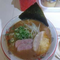 限定 浜八ラーメン+味玉 (BP抜き)