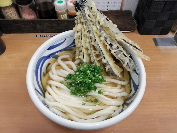 「本日のうどん(博多茄子天ぷら)　850円」@麺匠 釜善の写真