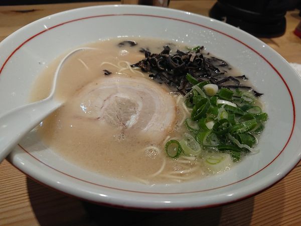 「純正らーめん」@博多らーめん 虎の写真