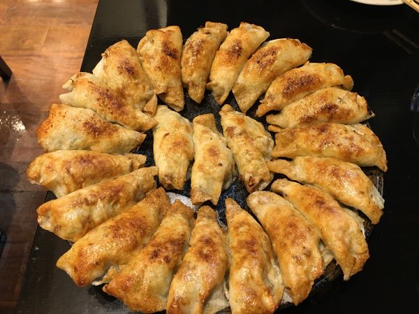 「円盤餃子」@餃子の照井 福島駅東口店の写真