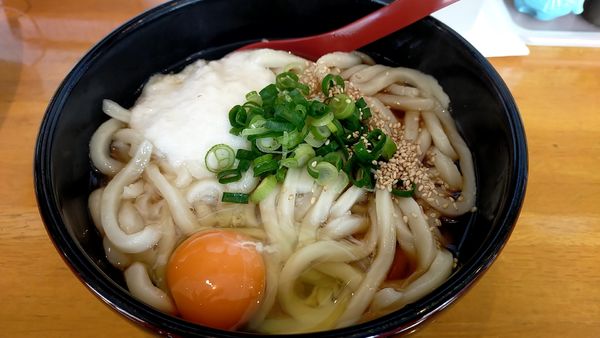 「温月見とろろうどん」@麺工房 どいちの写真