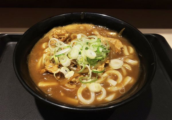 「【期間限定】豚カレーうどん」@名代 富士そば 飯田橋駅前店の写真