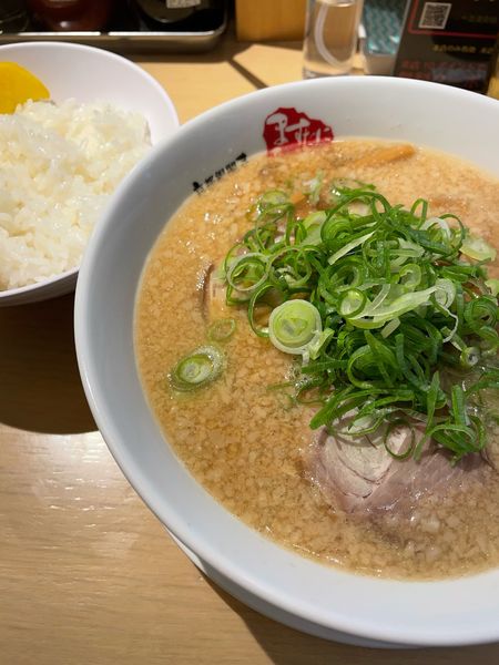 「ラーメン 並ライス」@京都銀閣寺 ますたにラーメン 日本橋本店の写真