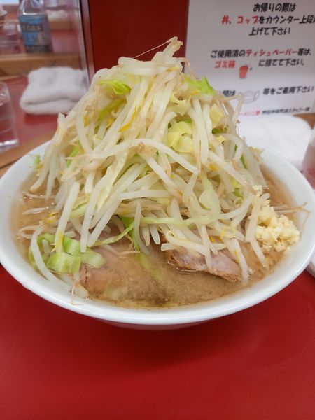 「小ラーメン￥800」@ラーメン二郎 神田神保町店の写真