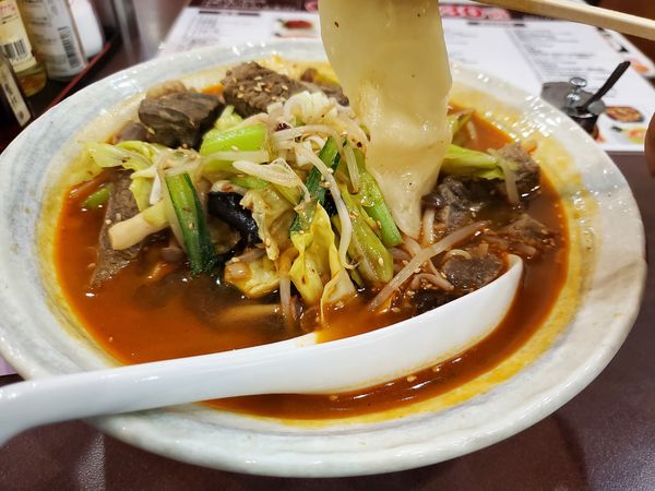 「牛肉手打ちビャンビャン麺・普通盛・中辛」@楽楽亭の写真