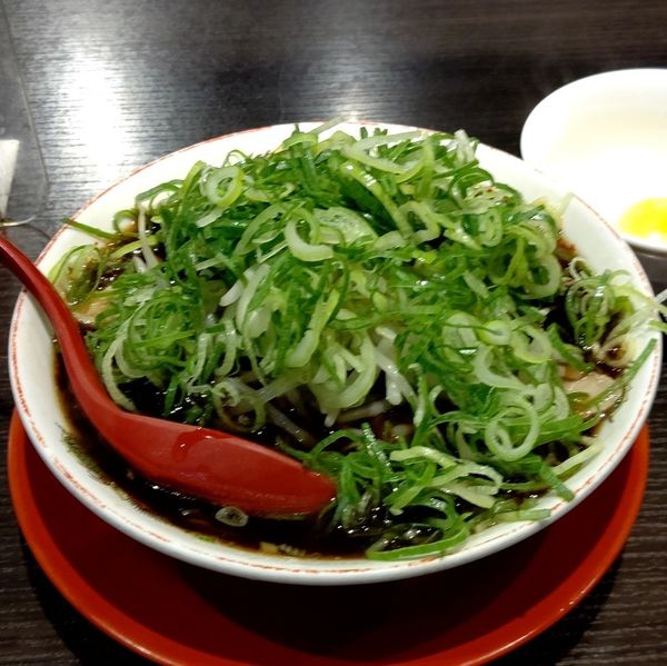 「中華そば (並)＋ネギ多め＋生卵」@新福菜館 秋葉原店の写真