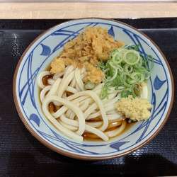 ぶっかけうどん（並）