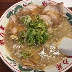 特製醤油ラーメン　麺硬め