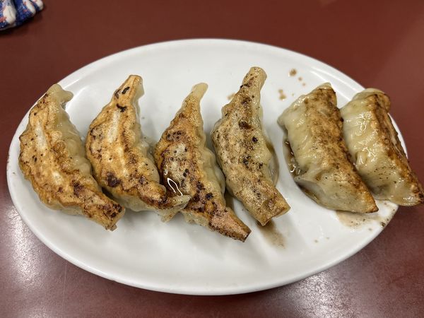 「まんぷく餃子（自家製）」@まんぷく亭の写真