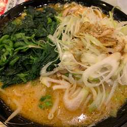 味噌ラーメン＋ほうれん草＋ねぎ