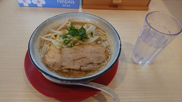 「背脂醤油」@ハルヤの写真