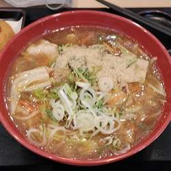 肉野菜あんかけ中華